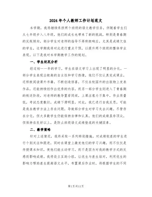 2024年个人教师工作计划范文（六篇）