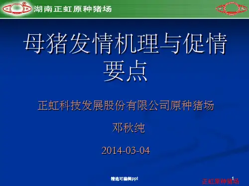 母猪发情机理与促情要点