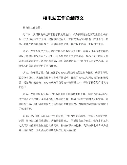 核电站工作总结范文