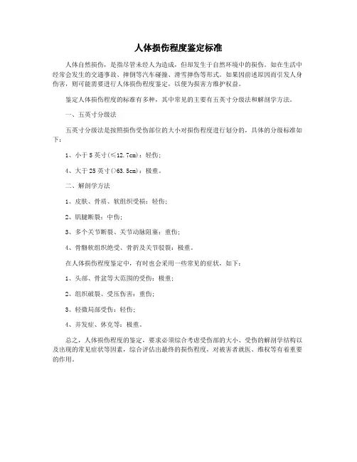人体损伤程度鉴定标准