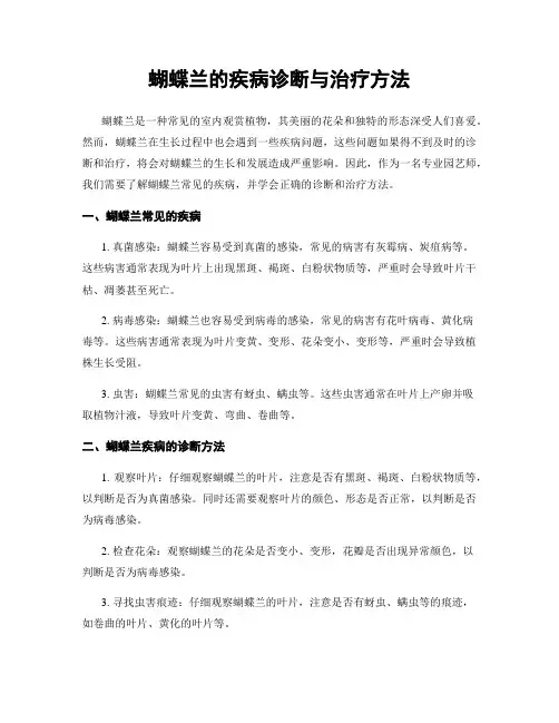 蝴蝶兰的疾病诊断与治疗方法