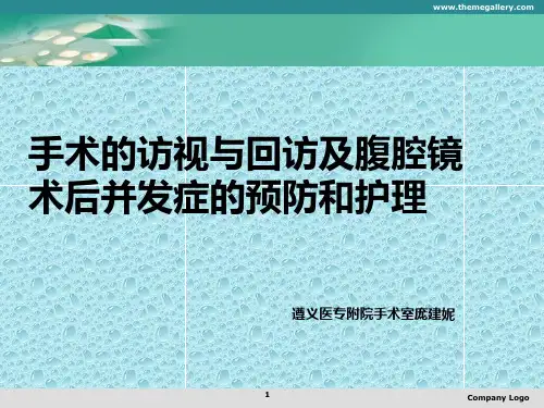手术室访视PPT课件