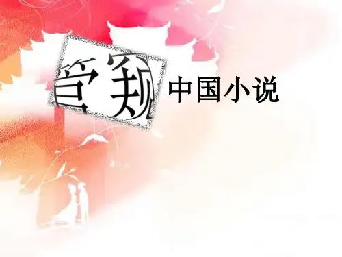 管窥中国小说PPT