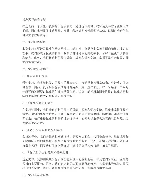 昆虫实习报告总结