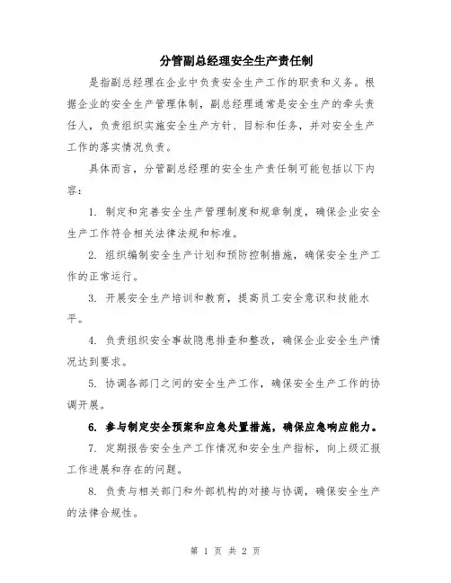 分管副总经理安全生产责任制