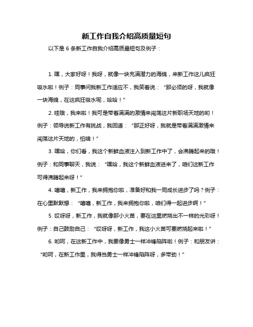新工作自我介绍高质量短句