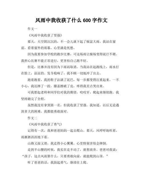 风雨中我收获了什么600字作文
