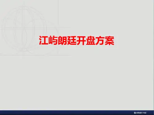 某地产公司开盘方案