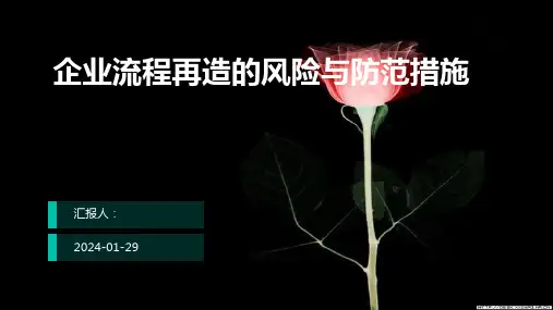 企业流程再造的风险与防范措施