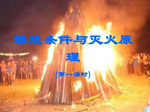 燃烧条件与灭火原理PPT课件