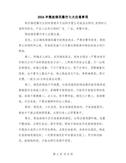 2024年燃放烟花爆竹七大注意事项（三篇）
