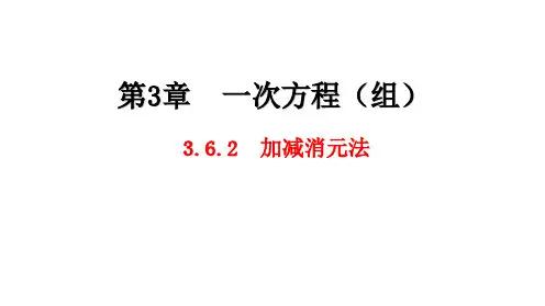 湘教版数学七年级上册3.6.2 加减消元法课件(共21张PPT)