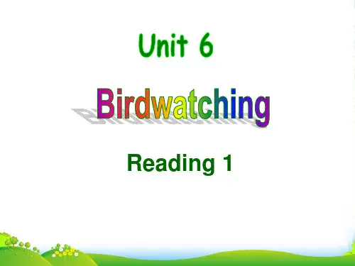 牛津译林八年级英语上册unit6-birdwatching-reading1-课件(共36张PPT)