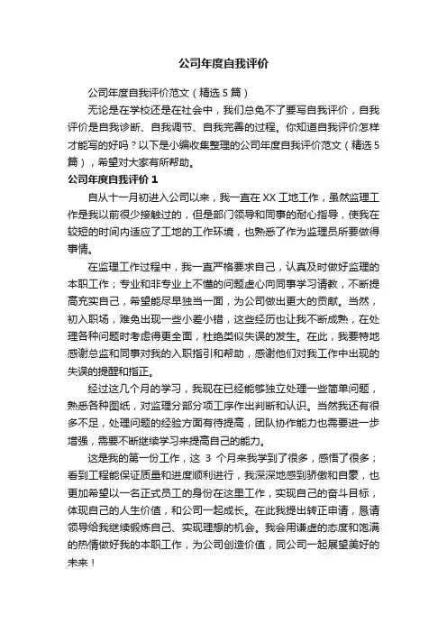 公司年度自我评价范文（精选5篇）