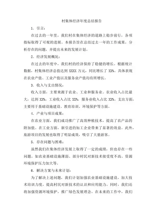 村集体经济年度总结报告