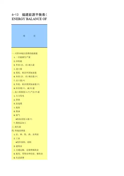 福建能源平衡表(实物量)-2007