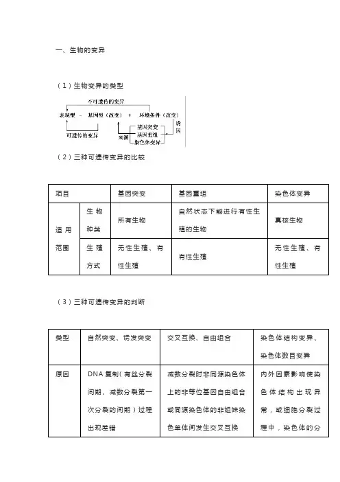 高中生物变异、育种及进化的知识点汇总