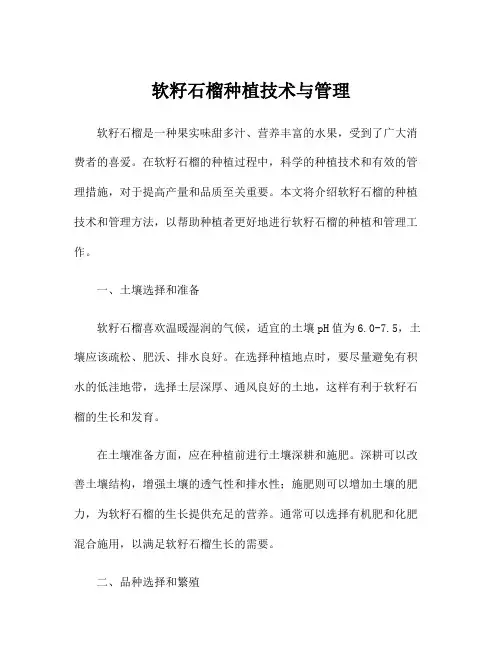 软籽石榴种植技术与管理