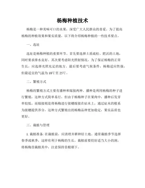 杨梅种植技术