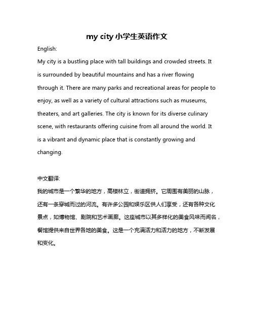my city小学生英语作文