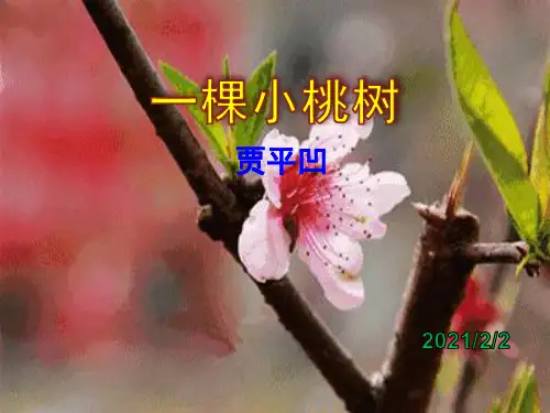 人教版语文七年级下册18 一棵小桃树