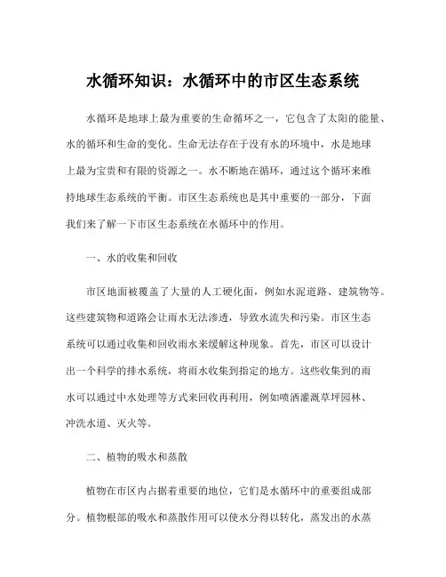 水循环知识：水循环中的市区生态系统