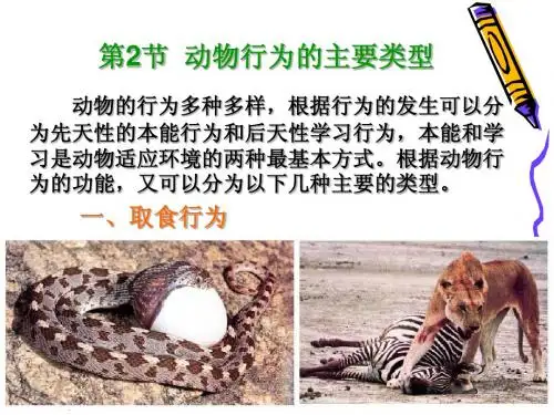 动物行为的主要类型