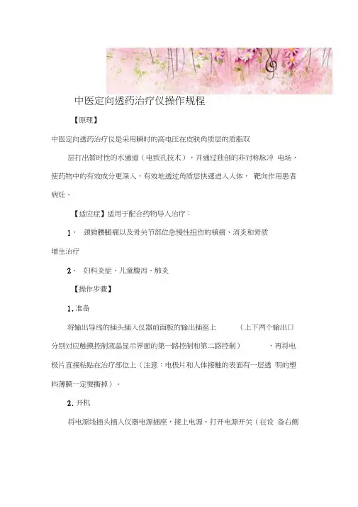 中医定向透药治疗仪操作规程