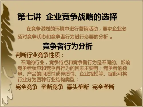 企业竞争战略.pptx