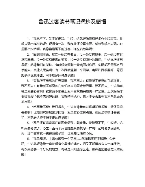 鲁迅过客读书笔记摘抄及感悟
