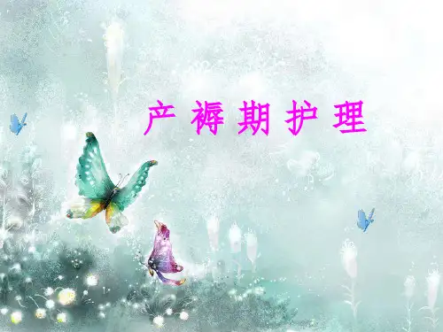 产褥期护理ppt课件