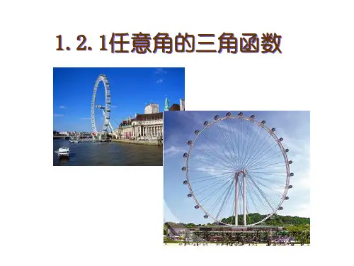 1.2.1任意角的三角函数课件人教新课标