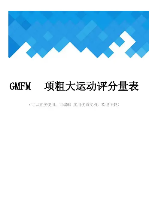 GMFM项粗大运动评分量表完整