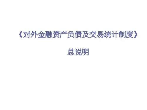 对外资产负债制度总说明PPT