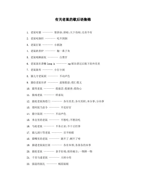 有关老鼠的歇后语集锦