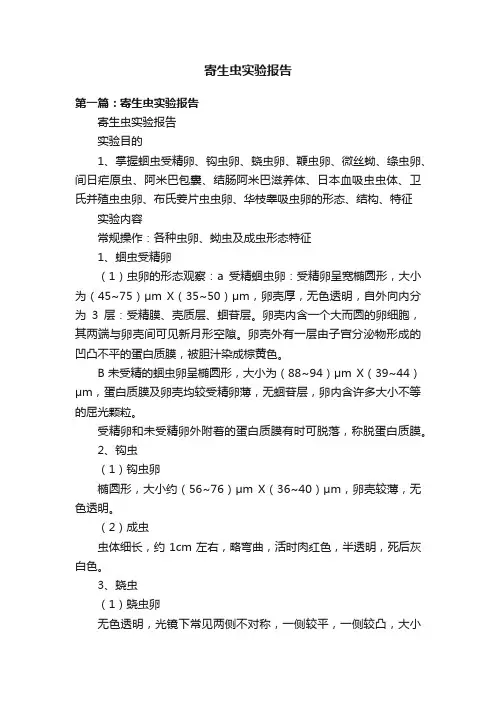 寄生虫实验报告