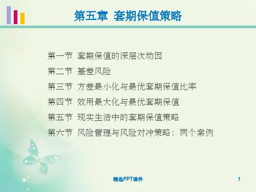 第5章 套期保值策略PPT课件