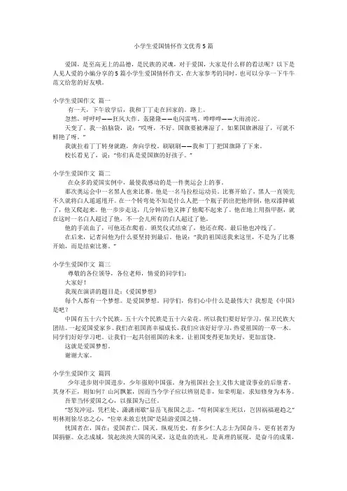 小学生爱国情怀作文优秀5篇