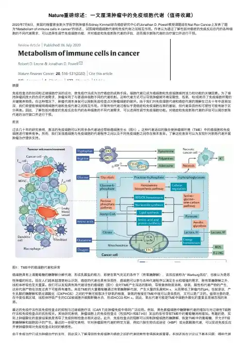 Nature重磅综述：一文厘清肿瘤中的免疫细胞代谢（值得收藏）