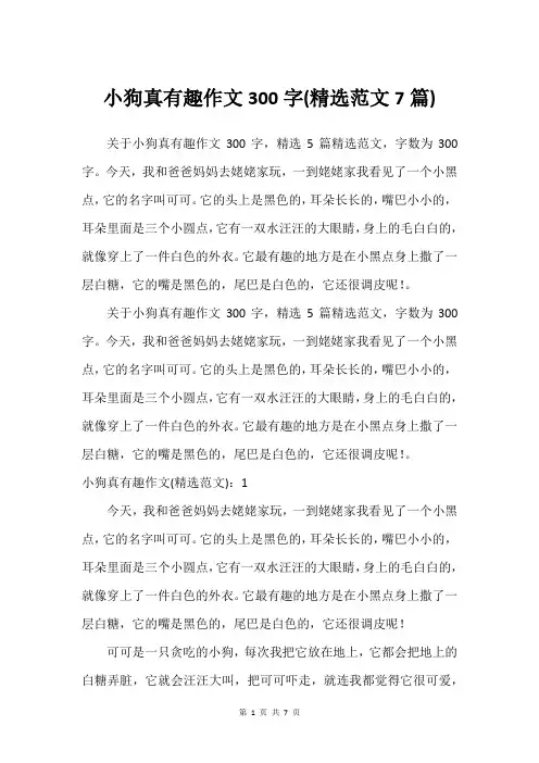 小狗真有趣作文300字(尚可范文7篇)