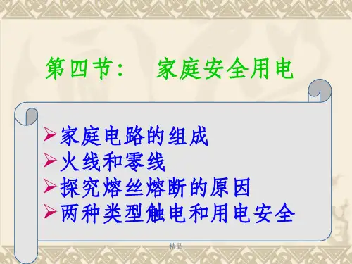 《家庭安全用电》PPT课件