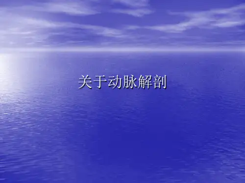 关于动脉解剖课件