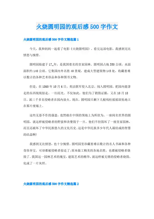 火烧圆明园的观后感500字作文