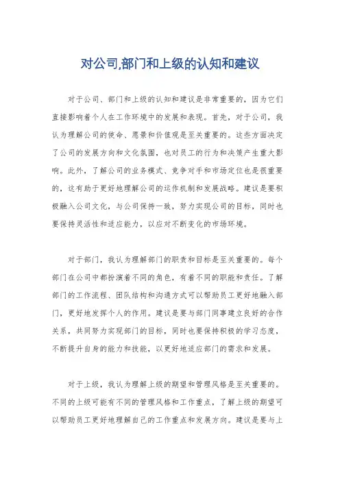 对公司,部门和上级的认知和建议