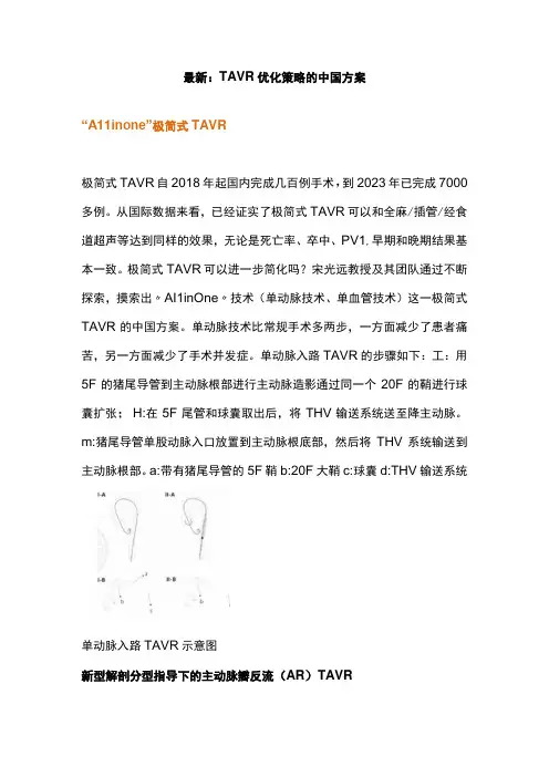 最新：TAVR优化策略的中国方案