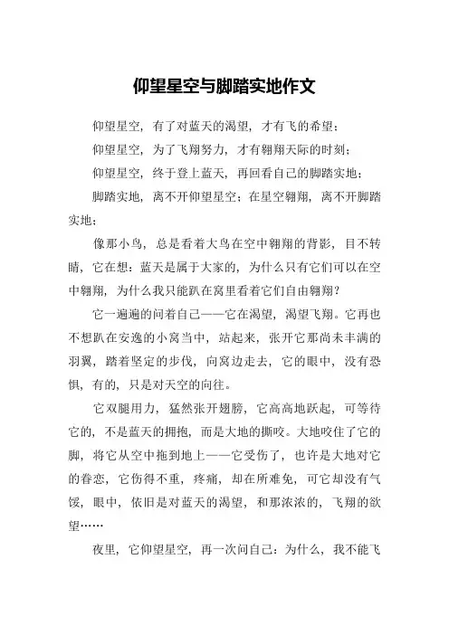 仰望星空与脚踏实地作文