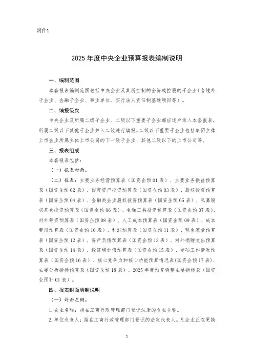 2025 年度中央企业预算报表编制说明