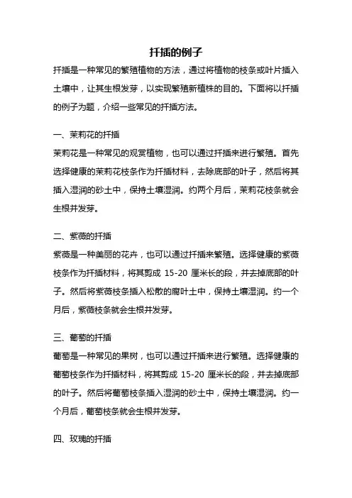 扦插的例子