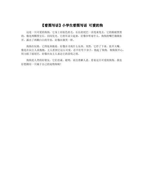 【看图写话】小学生看图写话 可爱的狗