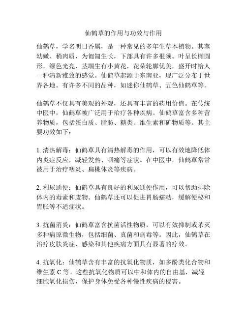 仙鹤草的作用与功效与作用
